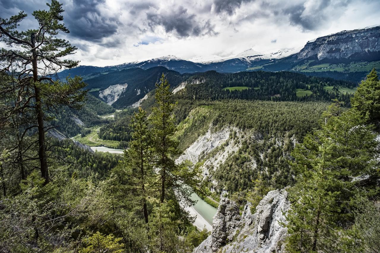 Soldanella By Hotel Adula Flims Kültér fotó